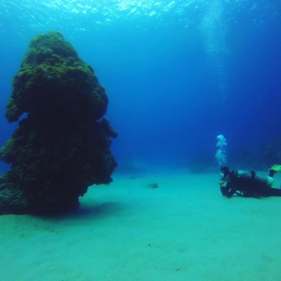 Green Island Good Sound Экстерьер фото